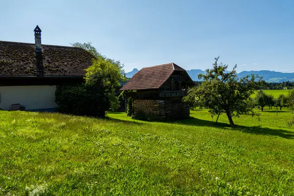 stock image Incredible Swiss village and nature, oozing greenery, rivers and cows