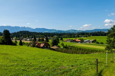 İnanılmaz bir İsviçre köyü ve doğa, yeşillik, nehirler ve inekler akıyor.