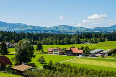 İnanılmaz bir İsviçre köyü ve doğa, yeşillik, nehirler ve inekler akıyor.