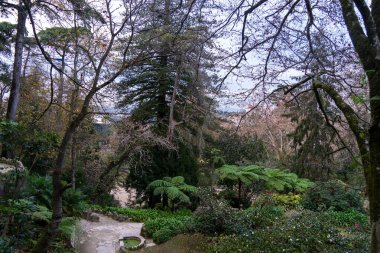 25.12.23.Potugal. Muhteşem Lizbon. Muhteşem şehrin güzel mimarisi ve doğası