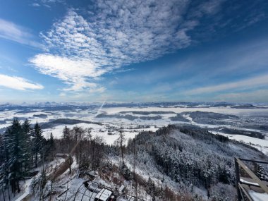 Bernese Alpleri 'ndeki muhteşem kış manzarası, kar ormanı güzelliği