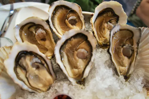 Magnificent Oysters Restaurant Nice Beautiful Serving Stock Picture