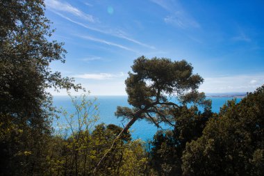 Fransa 'daki Cote d' Azur 'un muhteşem manzarası. Monaco Nice ve diğer şehirler