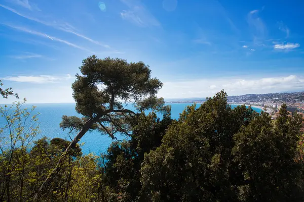 Magnifik Utsikt Över Cote Azur Frankrike Monaco Nice Och Andra Stockfoto