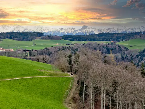 Superbe Coucher Soleil Sur Paysage Suisse Luxuriant Avec Sentier Sinueux Image En Vente