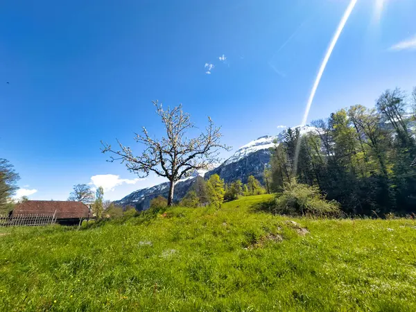 Gökyüzünün Altında Karlı Dağlar Olan Geleneksel Sviçre Ahşap Evleri Manzaralı - Stok İmaj