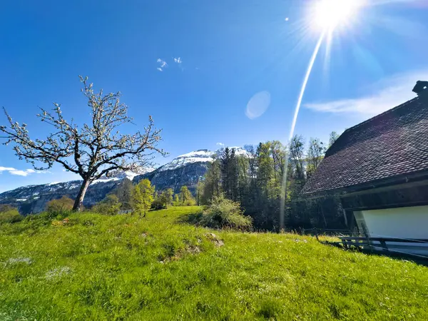 Gökyüzünün Altında Karlı Dağlar Olan Geleneksel Sviçre Ahşap Evleri Manzaralı Stok Resim