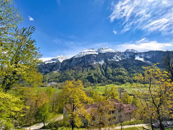 Sviçre Alpleri Nde Canlı Bir Bahar Manzarası Yemyeşil Çayırlar Çiçek Telifsiz Stok Fotoğraflar