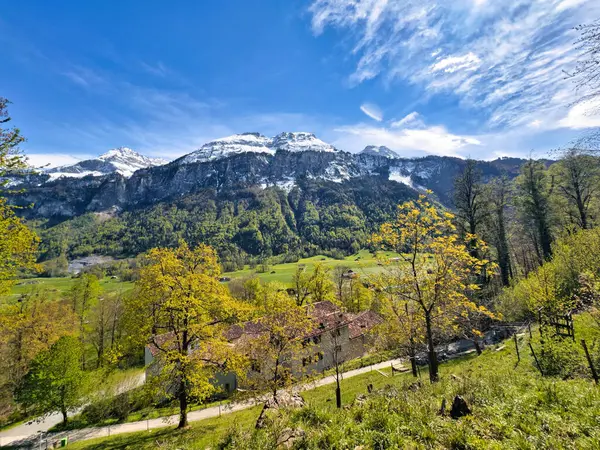 Sviçre Alpleri Nde Canlı Bir Bahar Manzarası Yemyeşil Çayırlar Çiçek Stok Fotoğraf