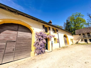 Canlı salkımlarla bezenmiş geleneksel bir evin büyüleyici girişi, sarı duvarlar, ahşap panjurlar ve parlak güneşli bir günün altında kırsal ahşap bir çatı.