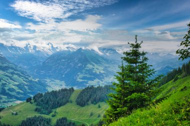 Parçalı bulutlu mavi gökyüzünün altında, arka planda karla kaplı tepeleri olan yeşil dağlar ve vadilerin görkemli manzarası.