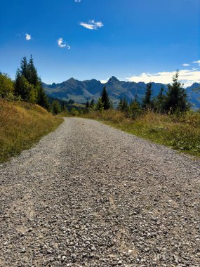 Güneşli bir günde, yemyeşil bitki örtüsü ve uzak dağ zirveleriyle çevrili açık mavi gökyüzü manzaralı dağ yolu.