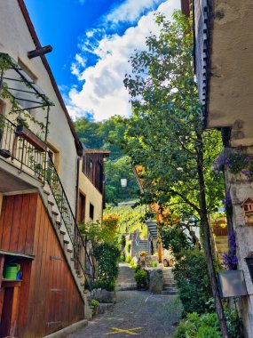13.05.24 Switzerland. Avrupa sokaklarına zarar vermek 