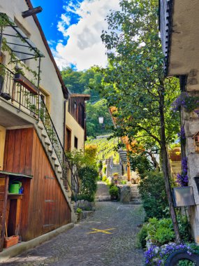 13.05.24 Switzerland. Avrupa sokaklarına zarar vermek 