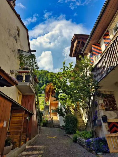 stock image 13.05.24.Switzerland. harming European streets 