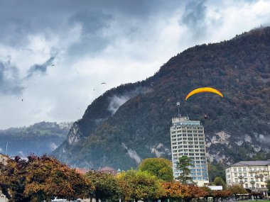 Paraglider ağaçların çerçevelediği canlı bir günbatımı gökyüzüne doğru süzülüyor