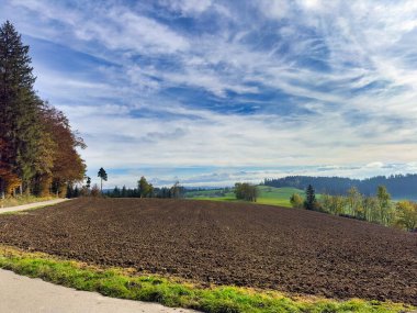 Kırsal yol verimli tarlalar ve ormanların arasından kıvrılıyor.