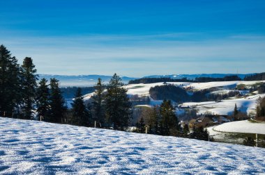 Parlak mavi gökyüzünün altında yeşil ağaçların ve yuvarlanan tepelerin olduğu karlı bir manzara.