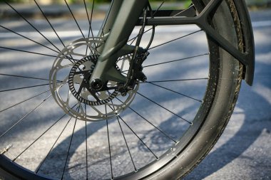 25,05,24.Bern, Swizerland. Sakin bir şehir sokağında bisiklet süren bir bisikletçi. Etrafı yeşillik ve güneş ışığıyla çevrili..