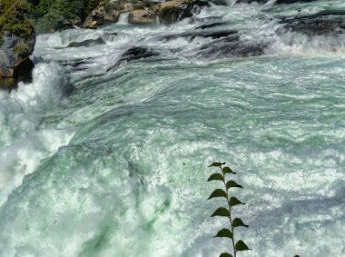 Güçlü bir şelale, uçurumlar ve yeşil gökyüzü altında yükselen sis ile dinamik ve dramatik bir manzara yaratıyor. Rhine Falls.