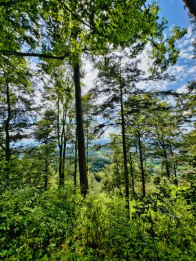 Yeşil yemyeşil bir vadinin panoramik manzarası ve dramatik bir gökyüzünün altındaki kayan tepeler dağınık bulutlarla dolu, doğanın güzelliğini gösteriyor.