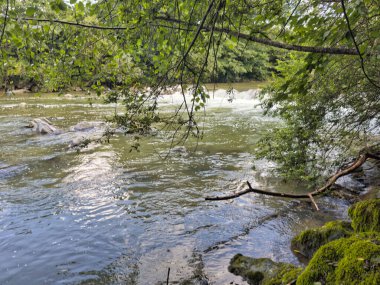 A peaceful riverside scene with moss-covered rocks, clear flowing water, lush green trees, and fishing gear in view, evoking a sense of tranquility and connection with nature clipart