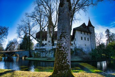 Uzun ağaçlar ve yemyeşil çevreler tarafından çerçevelenmiş tarihi şato