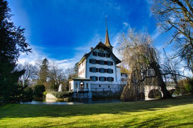 Uzun ağaçlar ve yemyeşil çevreler tarafından çerçevelenmiş tarihi şato