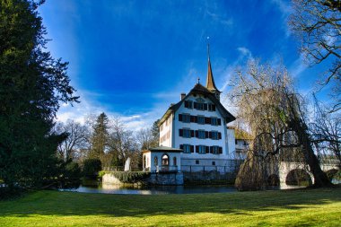 Uzun ağaçlar ve yemyeşil çevreler tarafından çerçevelenmiş tarihi şato
