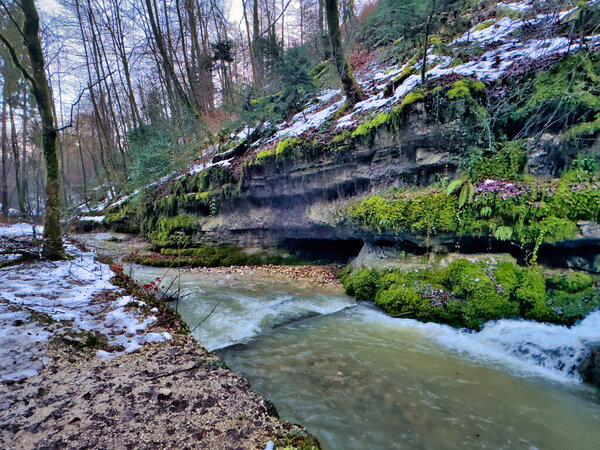 Small moss-covered waterfall in a serene forest with snowy patches
