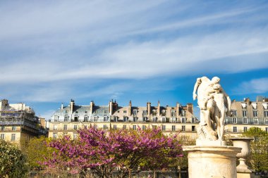 Paris, Tuileries Garden 'da çiçek açan pembe ağaçlı mermer heykel.