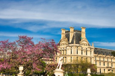 Paris, Tuileries Garden 'da çiçek açan pembe ağaçlı mermer heykel.