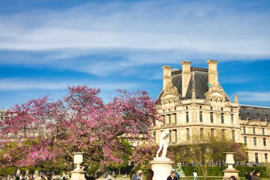 Paris, Tuileries Garden 'da çiçek açan pembe ağaçlı mermer heykel.
