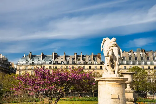 08.04.25.Paris, Fransa mermer heykeli, Tuileries Garden, Paris 'te çiçek açan pembe ağaçlı.