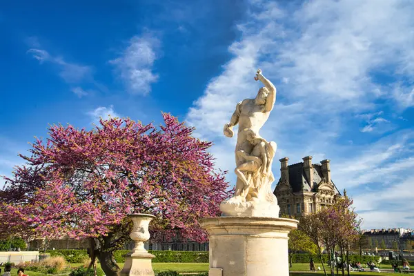 08.04.25.Paris, Fransa mermer heykeli, Tuileries Garden, Paris 'te çiçek açan pembe ağaçlı.