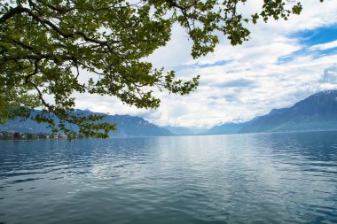 Vevey, dağları, tarihi binaları ve göl manzarası olan Cenevre Gölü 'nün manzaralı bir İsviçre kasabası..