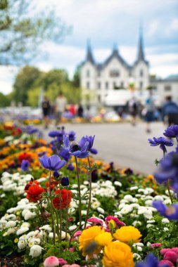İsviçre, Vevey 'de göl ve dağ manzaralı renkli bahar çiçekleri açıyor..