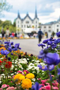 İsviçre, Vevey 'de göl ve dağ manzaralı renkli bahar çiçekleri açıyor..