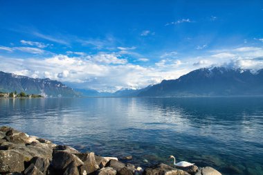 Vevey, dağları, tarihi binaları ve göl manzarası olan Cenevre Gölü 'nün manzaralı bir İsviçre kasabası..