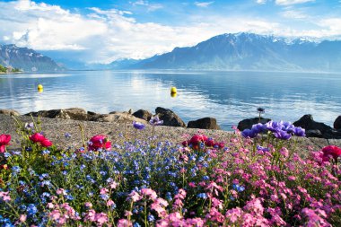 İsviçre, Vevey 'de göl ve dağ manzaralı renkli bahar çiçekleri açıyor..