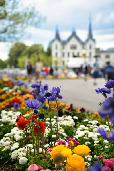 İsviçre, Vevey 'de göl ve dağ manzaralı renkli bahar çiçekleri açıyor..