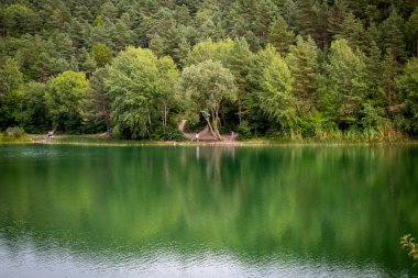 Bir Lakeside Ormanının Büyüleyici Yansıması: Sakin ve Huzurlu Manzara Fotoğrafı. Stok Fotoğrafı.