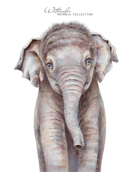 Elefantbebis Akvarell Elefantkalv Afrikanska Djur Illustration — Stockfoto