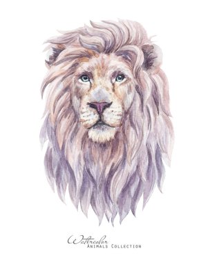 Suluboya Aslan portresi. Aslan Kral illüstrasyonu. Beyaz Aslan