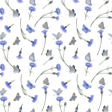 Seamless pattern common blue butterflies and meadow cornflowers