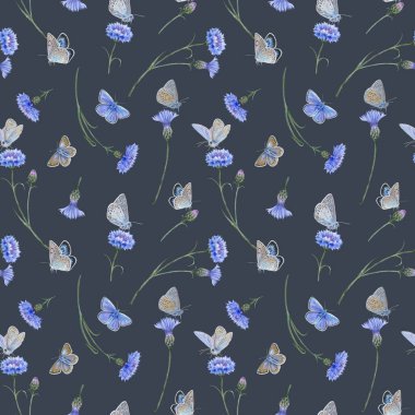 Seamless pattern common blue butterflies and meadow cornflowers
