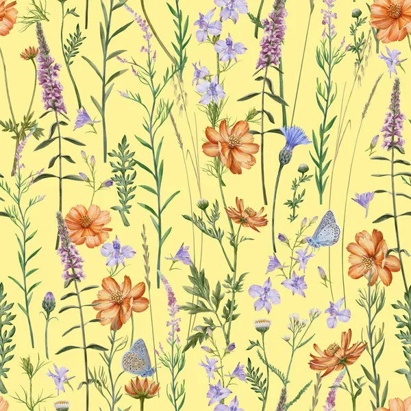 Meadow Flowers Herbs Seamless Pattern Common Blue Butterflies Meadow Cornflowers — Stockfoto