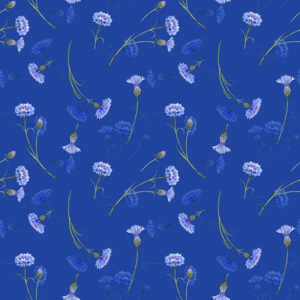 Patrón Inconsútil Flores Silvestres Azules Maizales Pradera Sobre Fondo Azul —  Fotos de Stock
