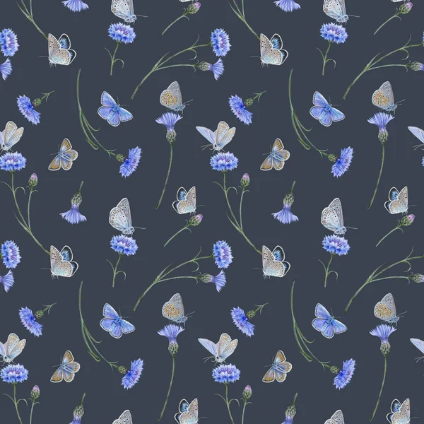 Seamless Pattern Common Blue Butterflies Meadow Cornflowers —  Fotos de Stock