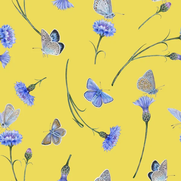Padrão Sem Costura Borboletas Azuis Comuns Flores Milho Prado — Fotografia de Stock